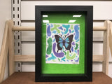 Framed Prints 5x6