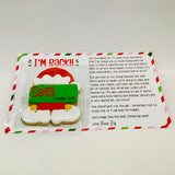 Paint Your Own Cookies