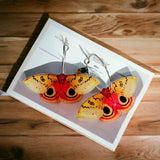 Moth Earrings