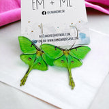Moth Earrings