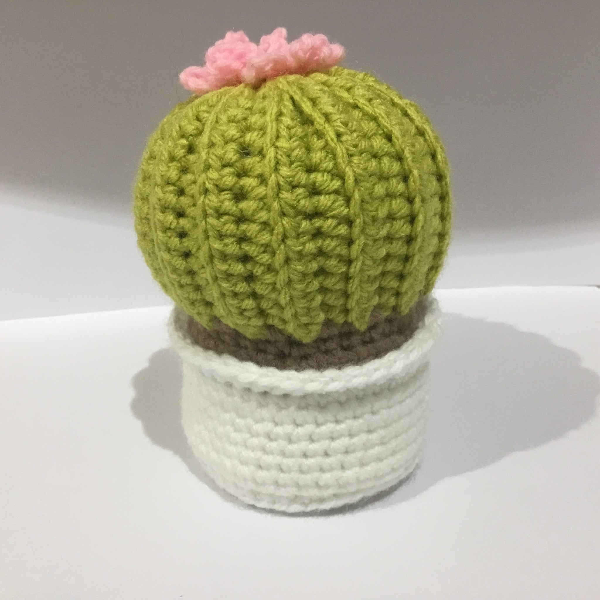 Unkillable Cactus