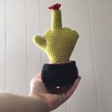 FU Cactus