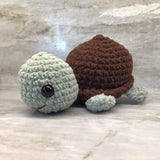Cuddly Turtle