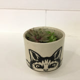 Succulent Pottery Bowls
