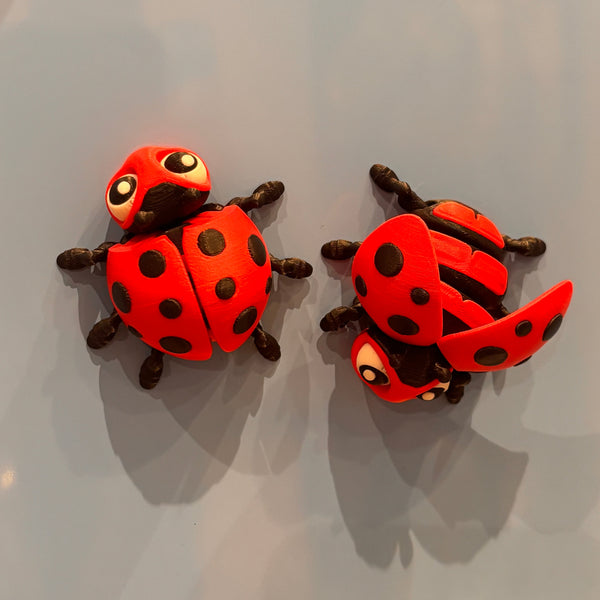 3-D Printed Fridge Magnets