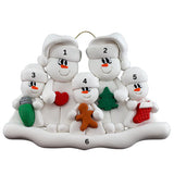 Christmas Family Ornaments