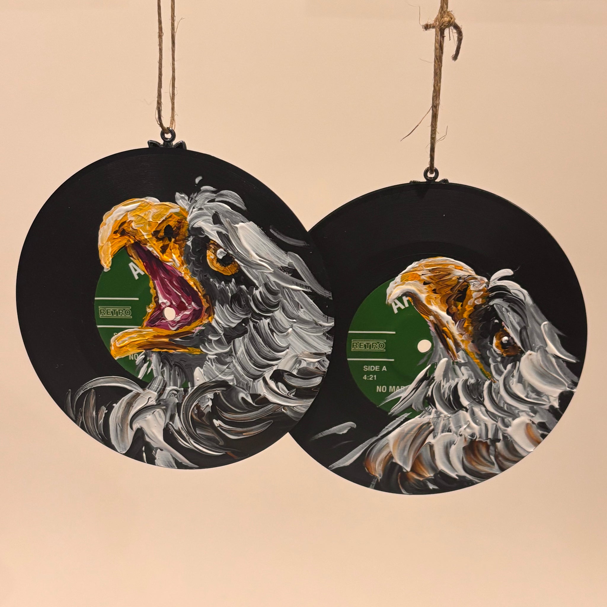 Hand Painted Vinyl Record Ornaments