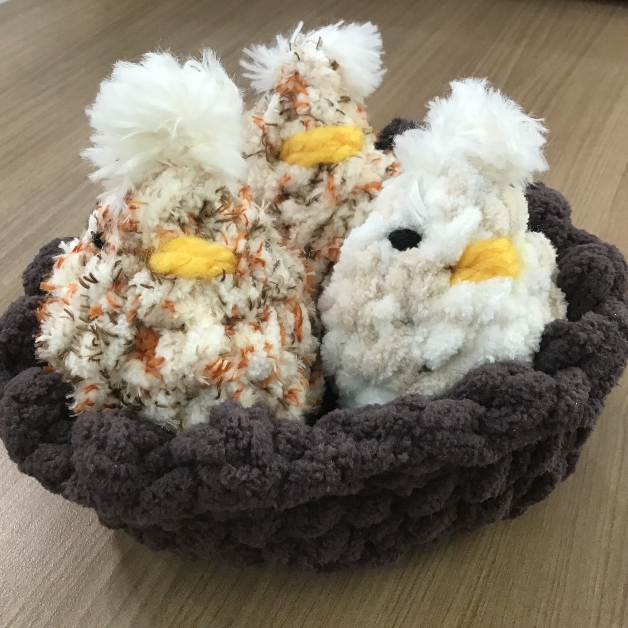 Chicks in Nest