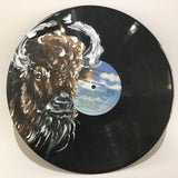 Painted Vinyl Records
