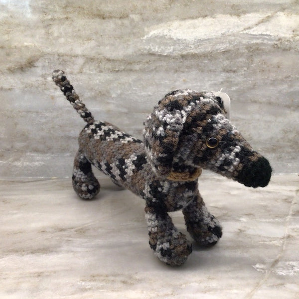 Dachshund