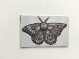 Small Magnets