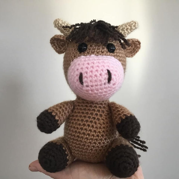 Highland Cow