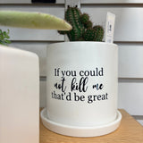 Sassy Plants - Planted Pot