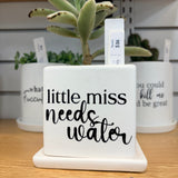 Sassy Plants - Planted Pot