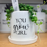 Sassy Plants - Planted Pot