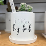 Sassy Plants - Planted Pot