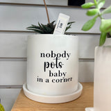 Sassy Plants - Planted Pot