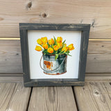 Tulips In Bucket