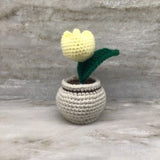 Tulip