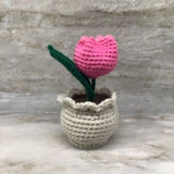 Tulip