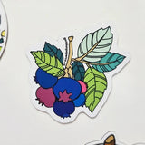 Vinyl Stickers
