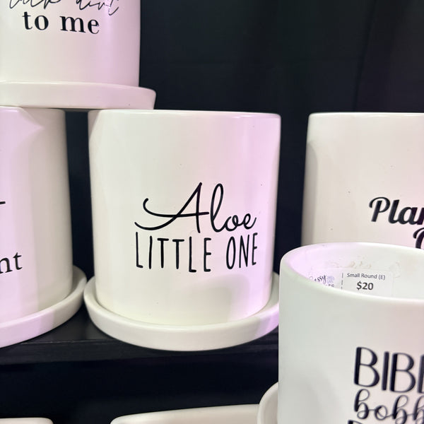 Sassy Plants - Empty Pot