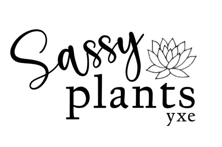 Sassy Plants - Planter Tags