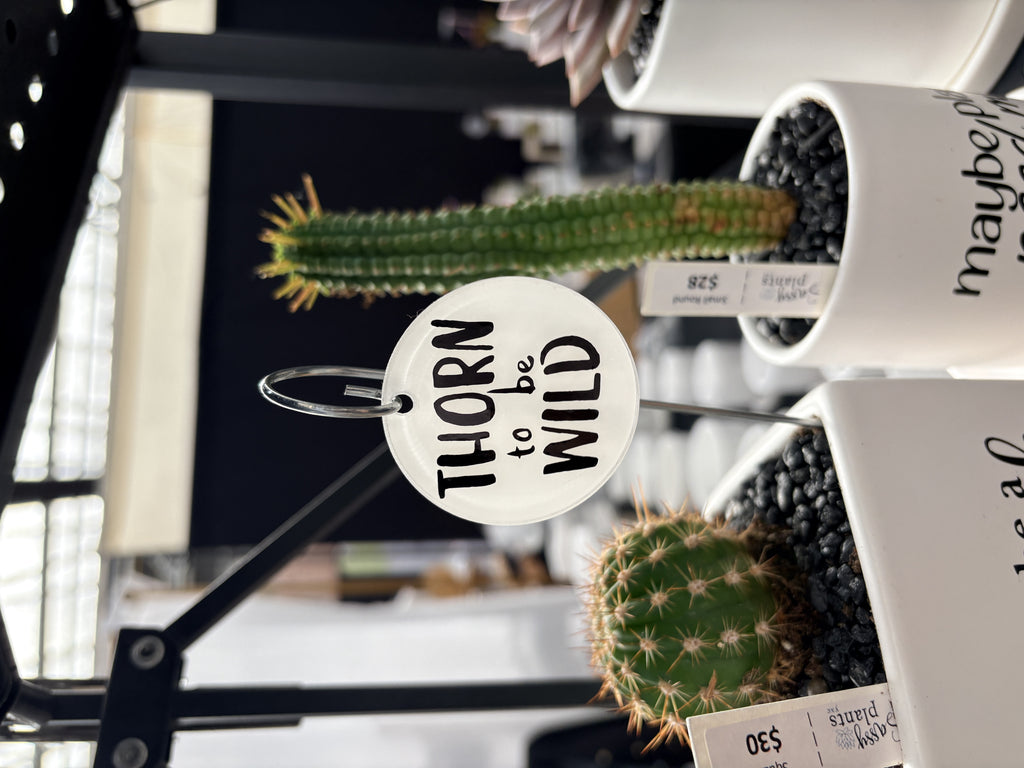 Sassy Plants - Planter Tags