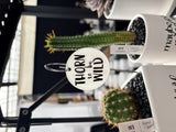 Sassy Plants - Planter Tags
