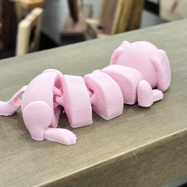 Flexi Dachshund