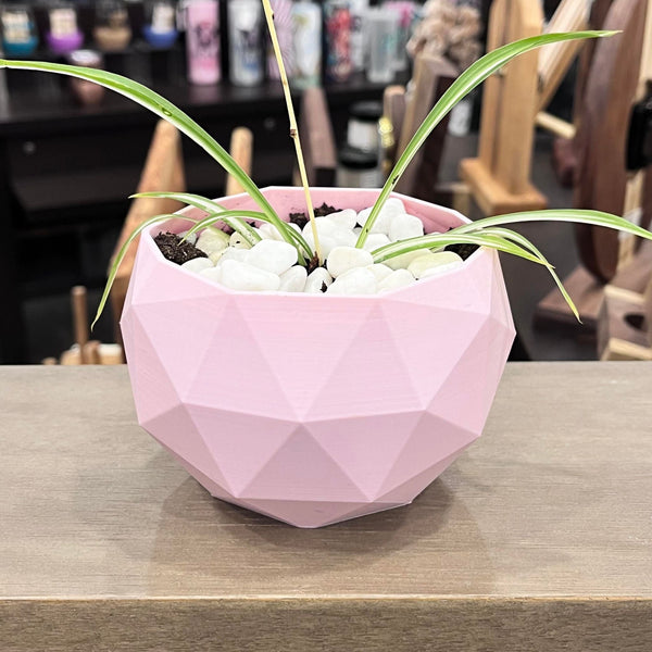 Geometric Planters