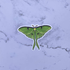 Luna Moth Waterproof Sticker