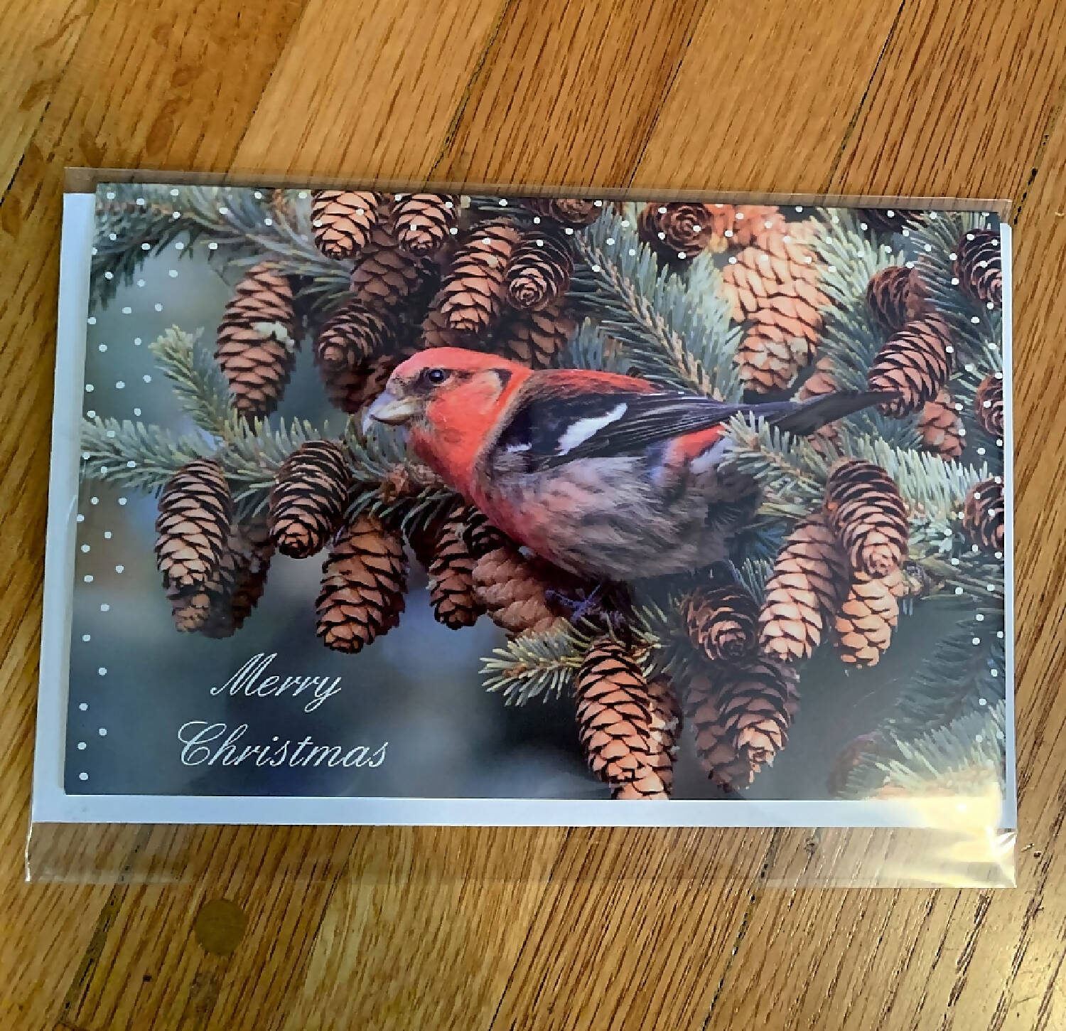 White-winged Crossbill Christmas Card