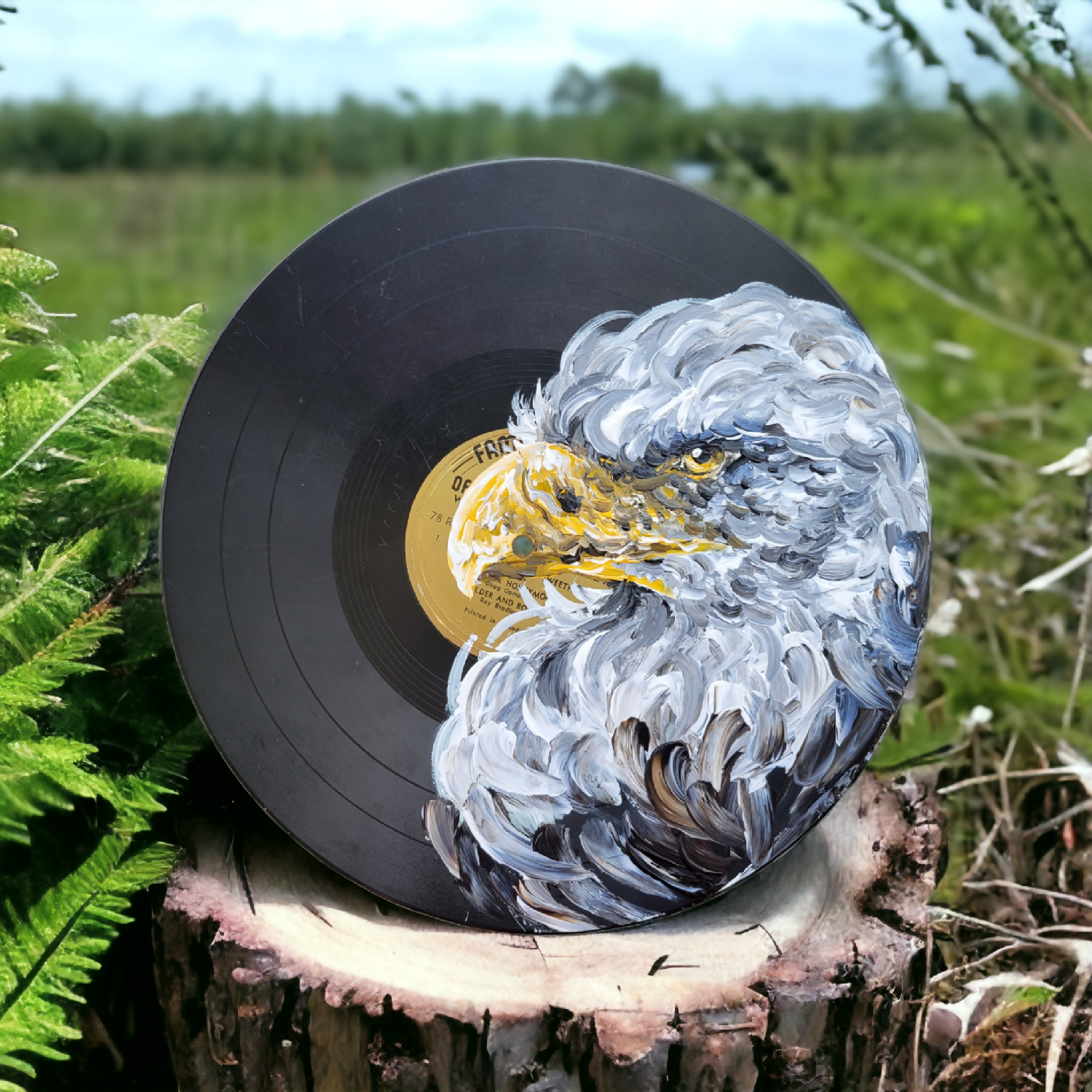 Painted Vinyl Records