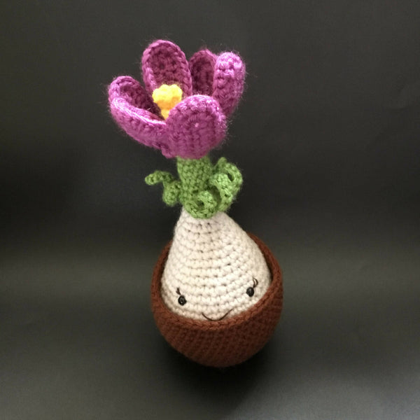 Cute Crocus