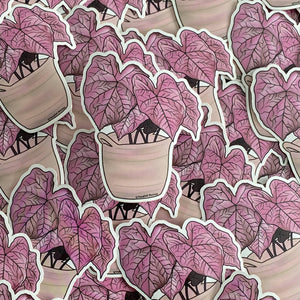 Pink Caladium Waterproof Sticker