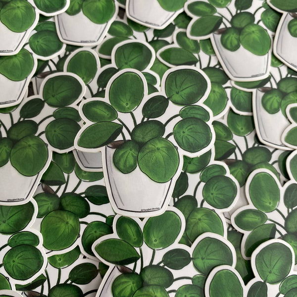 Money Plant (watercolour) Waterproof Sticker