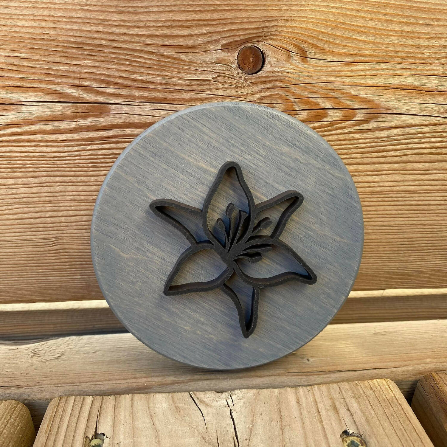 4" 3D Round Signs