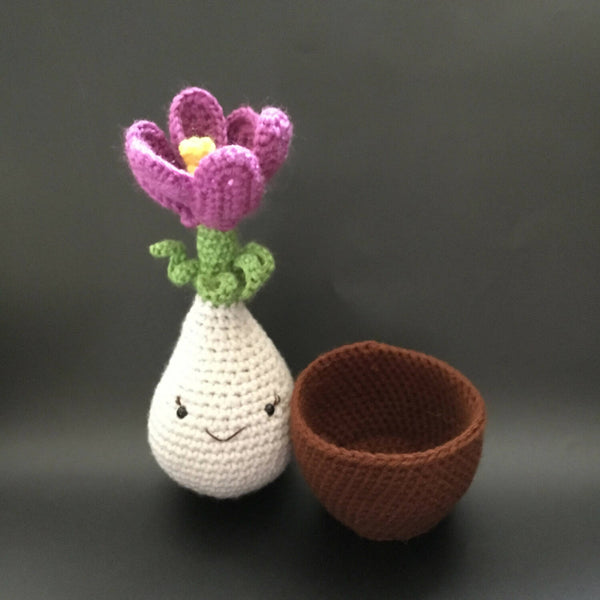 Cute Crocus