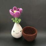 Cute Crocus