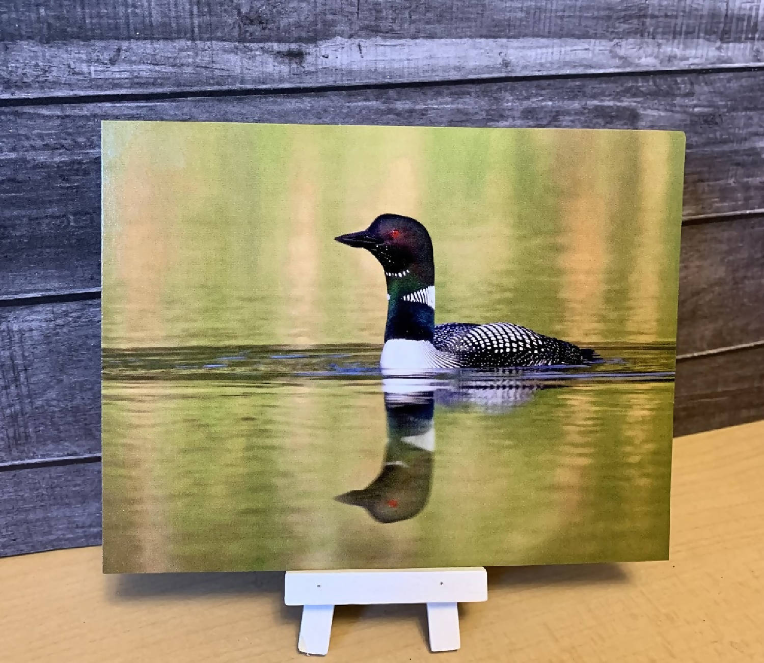 Common Loon Postcard