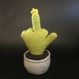 FU Cactus