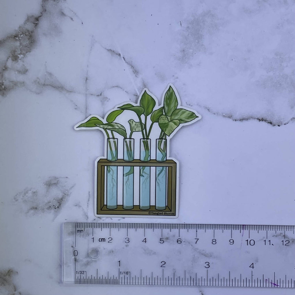 Midi Plant Propagation (test tube) Waterproof Sticker