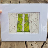 Spring Green Poplar Sask. Window