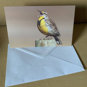Western Meadowlark Greeting Card