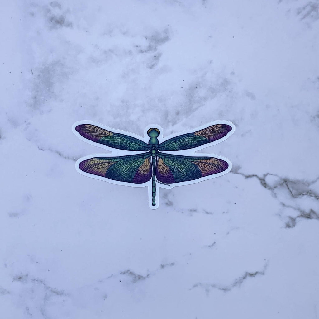 Butterfly Dragonfly Waterproof Sticker