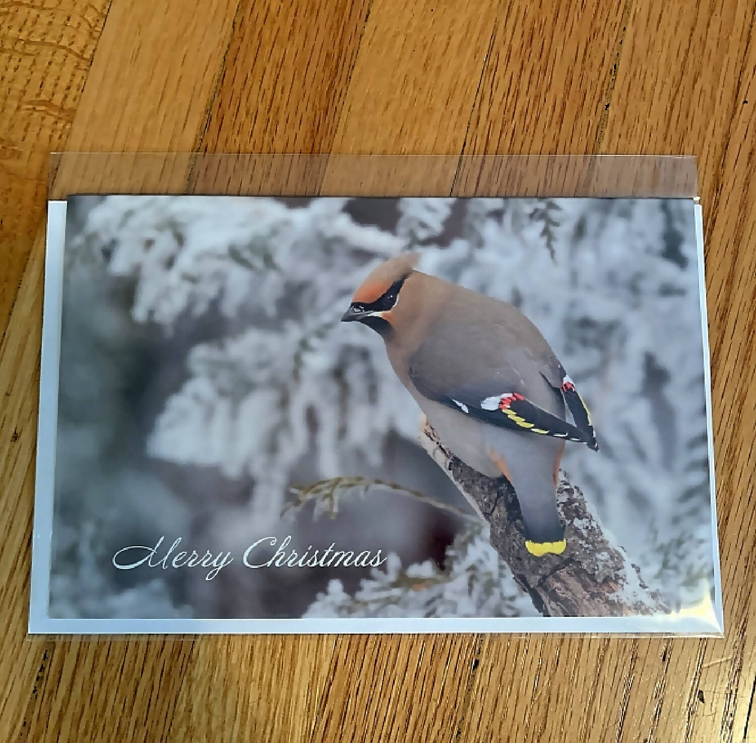 Bohemian Waxwing Christmas Card