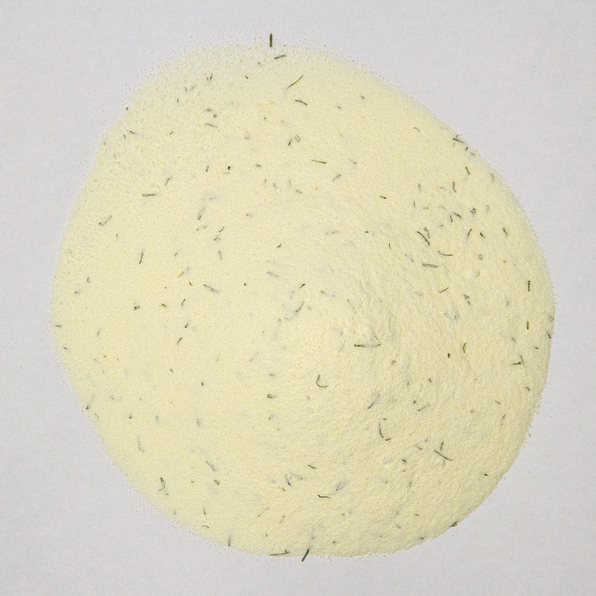 Schneider's Dill Pickle Spice - HandmadeSask