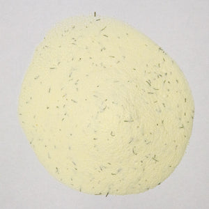 Schneider's Dill Pickle Spice - HandmadeSask