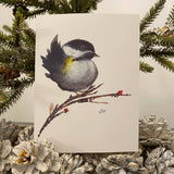 Chickadee on Berry Branch Christmas Card